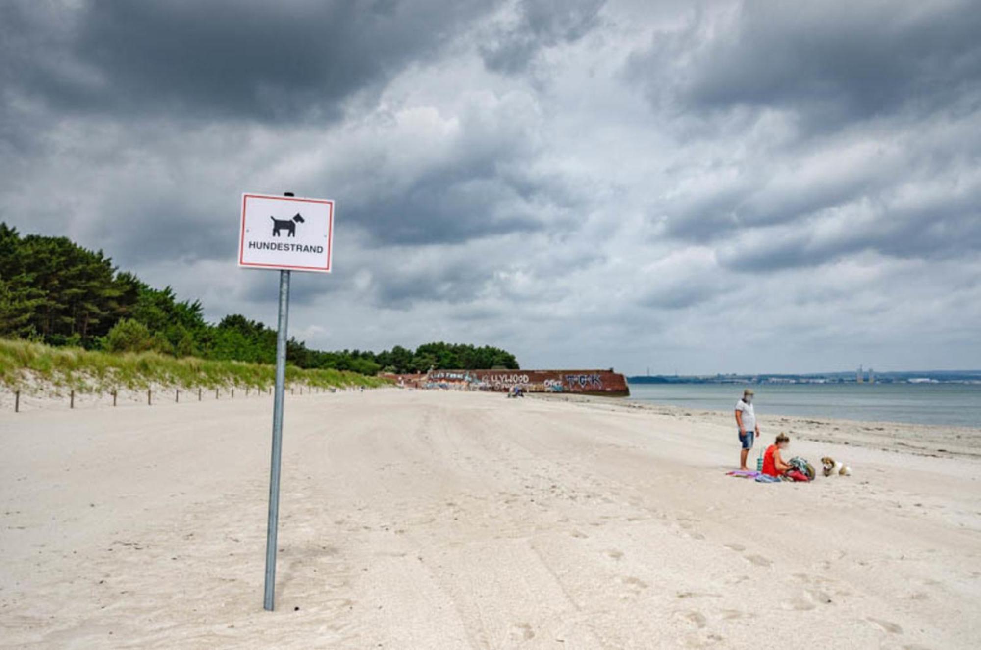 Fewo Prora - Loft Sturmmoewe Binz Eksteriør billede